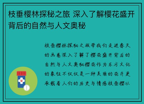 枝垂樱林探秘之旅 深入了解樱花盛开背后的自然与人文奥秘